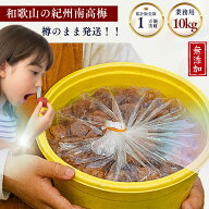 樽で発送 訳あり 紀州南高梅 和歌山県産 無添加 無着色 塩分約20% 昔ながら 酸っぱい 白干し 梅漬け 和歌…