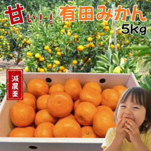 yyVX[p[Z[!啝zLc݂ _yő5000~za̎RY 5kg  󂠂 ƒp  ɑ ZȊÂ |͂  e Yn̐VNȊk M