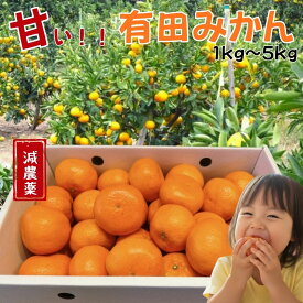 有田みかん 減農薬 【最大5000円引】 みかん箱買い 和歌山県産 みかん ミカン 1kg 2kg 3kg 5kg みかんケース 箱買い 訳あり 有田みかん5キロ ご家庭用 早生 有田のみかん 極早生 濃厚 甘い 送料無料 大容量 産地直送 新鮮 柑橘 ギフト