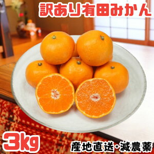 �y�労�Ӎ�25�{�I�z�L�c�݂��� ���_�� �a�̎R���Y 3kg ������ �󂠂� ���ƒ�p 3�L�� ���肽�݂��� �a�̎R�݂��� �a�̎R�~�J�� �ƒ�p�݂��� �󂠂�݂��� �Â��݂��� �݂���3�L�� �󂠂�ʕ�