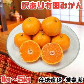 【年内発送】 有田みかん 減農薬 【最大5000円引】 和歌山県産 1kg 2kg 3kg 5kg 甘いみかん 箱買い みかん 美味しい 訳あり 箱みかん 和歌山ミカン ご家庭用 早生 極早生 濃厚 和歌山みかん 箱詰 甘い 送料無料 大容量 産地直送 新鮮 柑橘 ギフト