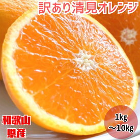 清見 オレンジ 和歌山産 減農薬 1kg 3kg 5kg 10kg 甘い 箱買い 美味しい 訳あり ミカン ご家庭用 濃厚 箱詰 甘い 送料無料 大容量 産地直送 新鮮 柑橘 ギフト サイズ不揃い