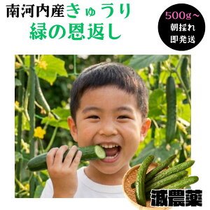 ���_�� ���イ�� 500g 1000g ��͓��Y ���̂� �Y�� �V�N ��� �L���E�� �ӉZ ���̂� �_�ƒ��� �Y�n���� ������ �{ �������� �ς�ς� �s���� ���Y �Е� �T���_ ��Ђ� 1kg 1�L�� ������ �ƒ�