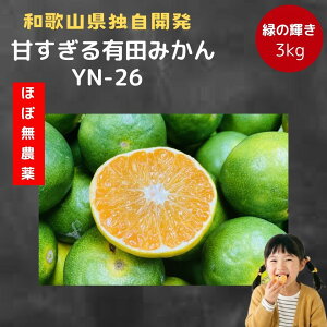 �L�c�݂��� �V�i�� YN26 �����x ���ʌ��� �y���_��z �a�̎R �Â� 3kg �Z�� �݂��� �Y�n���� ���� �݂���3�L�� �݂���3kg �󂠂�~�J�� �󂠂�݂��� �Â��݂��� �a�̎R�L�c�݂��� �a�̎R���Y�L