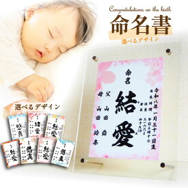 命名書 アクリル 命名紙 ギフト オーダー おしゃれ 印刷 季節柄 代筆 赤ちゃん 新生児 筆文字 代筆 かわいい かっこいい 出産祝い 内祝い 出産 記念品 贈り物 誕生記念 プレゼント ニューボーンフォト 名前入り 名入れ 女の子 用紙のみ