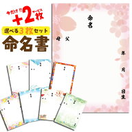 【今だけ+2枚サービスで合計5枚セット】命名書 命名紙 用紙のみ 台紙のみ おしゃれ 色紙 赤ちゃん 命名 …