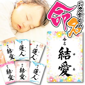命名書 お名前 のみ 命名紙 A4 選べるデザインのおしゃれな命名用紙 送料無料 命名書,命名紙,代筆,手書き,おしゃれ,出産祝い,出産内祝い,お七夜,用紙,命名 色紙