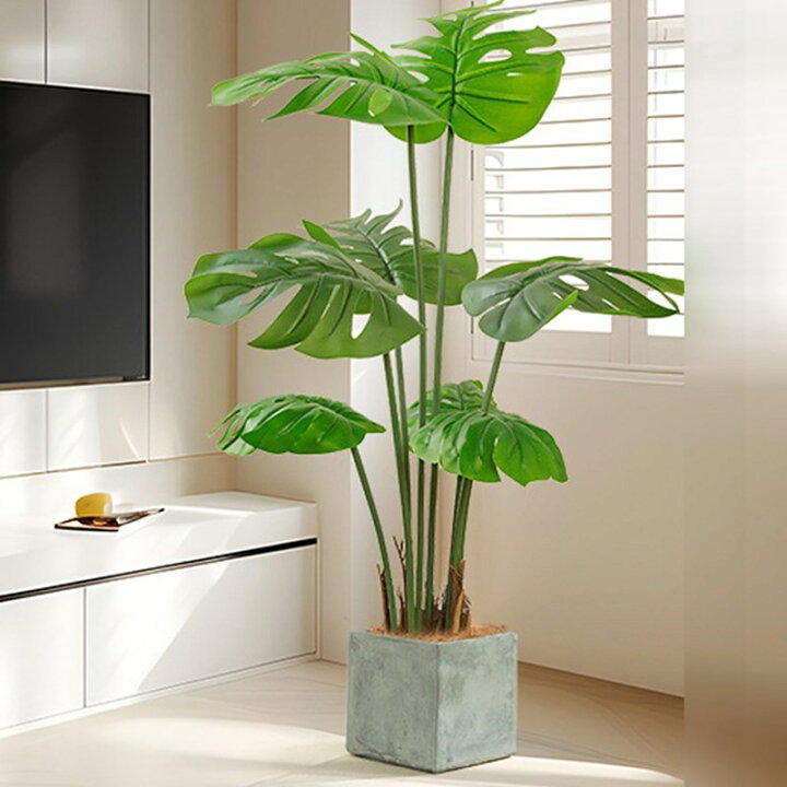 楽天市場】人工 観葉植物 180cm 亀背竹 モンステラ フェイクグリーン 