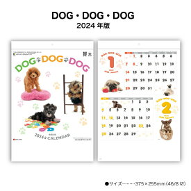 カレンダー 2024年 壁掛けけ DOG・DOG・DOG SG120 2024年版 カレンダー シンプル カラフル かわいい 犬 子犬 写真 2カ月表記 便利 237912