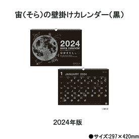 カレンダー 2024 壁掛け 宙の壁掛けカレンダー（黒） NK8942 デスク デスクトップ 2024年版 宙 そら 黒 星座 シンプル 237928