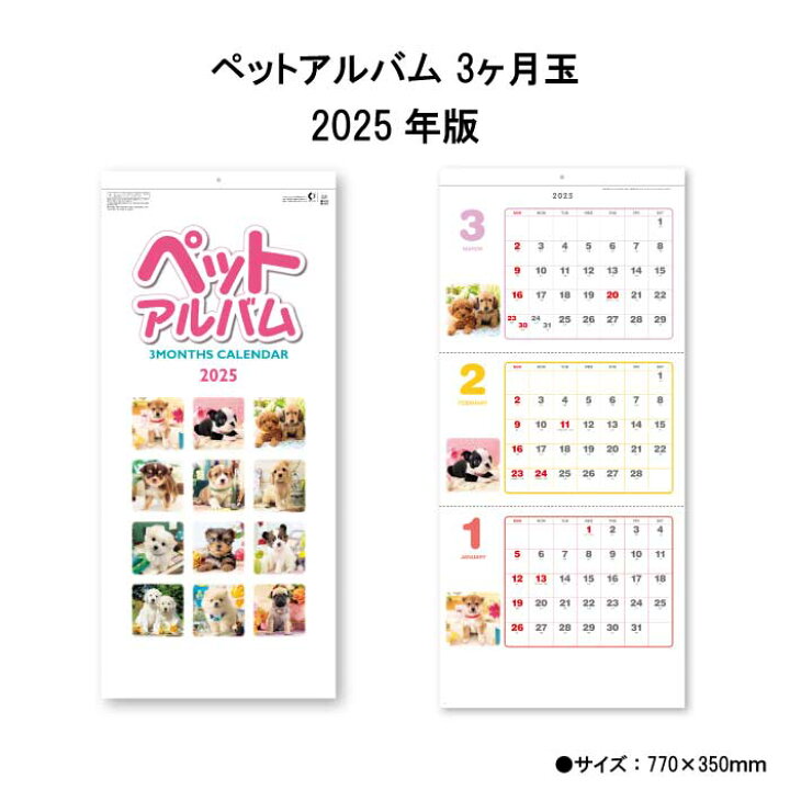 楽天市場】【15%OFF SALE】カレンダー 2025年 壁掛け ペットアルバム3 