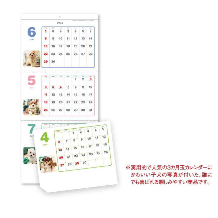 楽天市場】【15%OFF SALE】カレンダー 2025年 壁掛け ペットアルバム3 