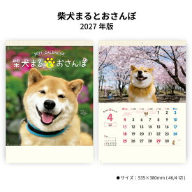 カレンダー 2027 壁掛け 柴犬まるとおさんぽカレンダー NK35 カレンダー 2027年 壁掛け おしゃれ かわいい 柴犬まる 犬 わんちゃん スケジュール 書き込み スペース 癒し 写真 歳時記 267784