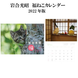 楽天市場 猫 カレンダー カレンダー 本 雑誌 コミック の通販