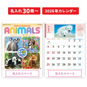   J_[ 30 J_[ 2026N Ǌ| 킢 NK104 2026N J_[ Ǌ|  킢   q[O G lG s Vv XPW[ 