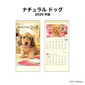 ySALE30%OFFzJ_[ 2026N Ǌ| i`hbO NK434 2026N J_[ Ǌ| 킢 q hbO  dog ~V fUC J c XPW[ XPW[Ǘ  i