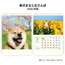 カレンダー 2026年 壁掛け 柴犬まるとおさんぽカレンダー NK35 2026年版 カレンダー シンプル かわいい カラフル スケジュール 記入 予定表 書き込み スペース 犬 柴犬まる わんちゃん 癒し 写真 歳時記 257784