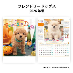 J_[ 2026N Ǌ| th[hbOX NK24 J_[ 2026N q 킢  DOG ꓮ 46/4 ʐ^  ꂢ  NJt 2 257775 cop