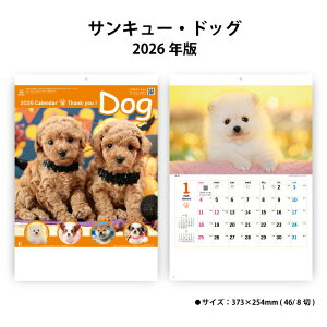 ySALE30%OFFzJ_[ 2026N Ǌ| TL[EhbO NK454 2026N B/8 Vv  XPW[ ֗  q 킢 ʐ^ RpNg ^ 257828 ss30