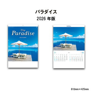 J_[ 2026N Ǌ| p_CX NK113 2026N J_[ Ǌ| A/2 킢  ꂢ Jt p_CX 썑 C r[` ʐ^ 257710