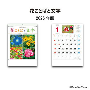 J_[ 2026N Ǌ| ԂƂ΂ƕ NK139 2026N J_[ Ǌ|  ꂢ Jt Ԍt LO lG  G ʐ^ A/2 257720