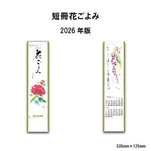 J_[ 2026N Ǌ| ZԂ NK441 2026N J_[  Z CXg G蕶 RpNg 񃖌\J_[ XPW[ Xy[X  O㌎ \ RpN