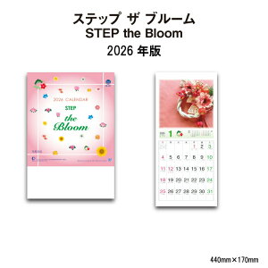 J_[ 2026N Ǌ| Xebv U u[ NK486 2026N J_[ Ǌ|  t[ ~ A CXgJ XPW[  O㌎ yjʐF A/6 257841 cop