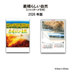 J_[ 2026N Ǌ| f炵R iVb^[tj NK116 2026N A/2 lG G R i {  ʐ^ i Xy[X 257712