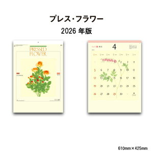 カレンダー 2026年 壁掛け プレス・フラワー NK144 2026年版 カレンダー 押し花 花 イラスト おしゃれ シンプル きれい かわいい カラフル メモ欄 257724