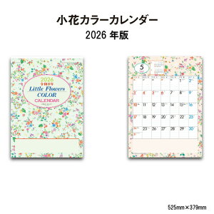 J_[ 2026N Ǌ| ԃJ[J_[ NK468 2026N J_[ Ǌ| ԕ ǖʑ  \L ݃Xy[X Gߊ CXg ^e fUC 257837