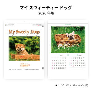 J_[ 2026N Ǌ| }CXEB[eB[hbO SG162 J_[ 2026 Ǌ|  q 񂿂 DOG  g₷  RpNg ֗ 257978 ss30