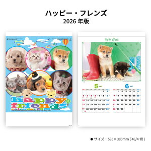 ySALE20%OFFzJ_[ 2026N Ǌ| nbs[EtY SG216 J_[ 2026 Ǌ|  L  qL q 񂿂 ˂ XPW[ Jt 킢  Aj} ʐ^ 25