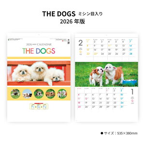 ySALE20%OFFzJ_[ 2026N Ǌ| THE DOGS SG197 J_[ 2026 Ǌ|   q 񂿂 킢 2\L c[}X ~V ʐ^ 46/4 257983 ss20