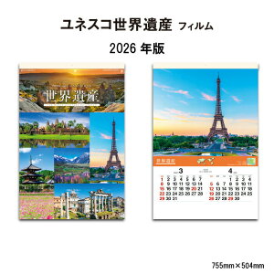 J_[ 2026N Ǌ| lXREY SG507 J_[ 2026N  lXR EY  R B/2 Vv  XPW[ ֗ ʐ^ ؔ tB J_[ 258137