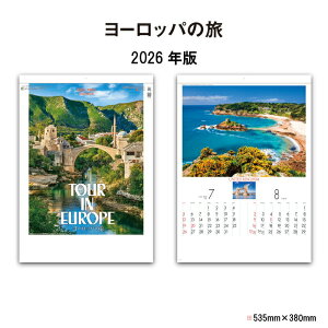 J_[ 2026N Ǌ| [bp̗ SG209 J_[ 2026 Ǌ|  i [bp ό ֗ i R ʐ^ lG G XPW[ 46/4 257993