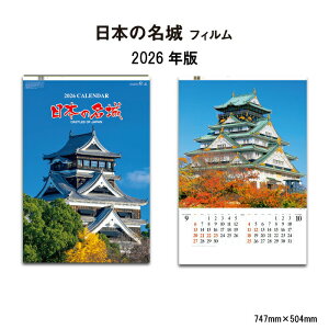 J_[ 2026N Ǌ| {̖ SG540 J_[ 2026 Ǌ| 2026N Ǌ|J_[ B/2 Vv  XPW[ ֗ ʐ^ {   PH  ؔ tB J