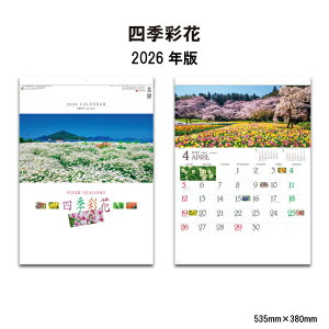 J_[ 2026N Ǌ| lGʉ SG290 J_[ 2026 Ǌ|  i  ꂢ {̌i G lG  ʐ^ xmR Vv Xy[X  258062