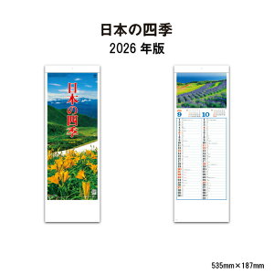 J_[ 2026N Ǌ| {̎lG SG105 J_[ 2026 Ǌ| Vv i  lG  { RpNg Xy[X Zj O㌎ 񃖌\J_[ 46/8 257950