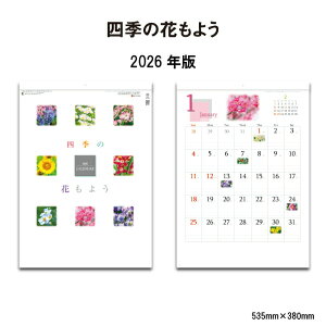 J_[ 2026N Ǌ| lG̉Ԃ悤 SG293 J_[ 2026N Ǌ| Vv  \  G  傫 r ʐ^ Xy[X 46/4 258069