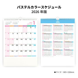 カレンダー 2026年 壁掛け パステルカラースケジュール SG610 2026年版 カレンダー 壁掛け おしゃれ コンパクト シンプル スケジュール 便利 パステルカラー 小型 ミニサイズ 別寸 258160