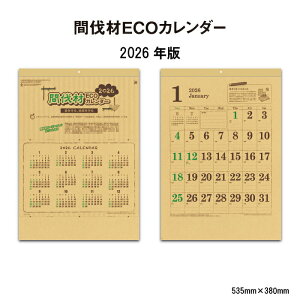 ySALE30%OFFzJ_[ 2026N Ǌ| ԔECOJ_[ SG291 J_[ 2026 Ǌ| Vv Ntg  XPW[ r Ԕ ECO GR CSR \ 46/4 258064 ss30