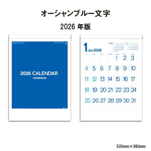 J_[ 2026N Ǌ| I[Vu[ SG2900 J_[ 2026 Ǌ| Vv u[  F  傫ȕ CeA ₷ vs 46/4 258063