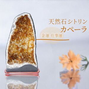 y1_zVg Jy[ u VR p[Xg[  J^ CeAG Mtg v[g i i  J^  995146