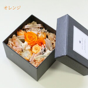 v[gɍœK vU[uht[ {bNX pe[ v[g Mtg jRCo[O} KN [Y AWg sN IW    j a 