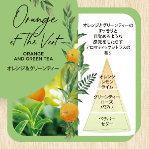 GXeo CeAK[fi`[ tbV[IC 15ml OX&~g IW&O[eB[ tV[l ESTEBAN { A}  A}IC tO