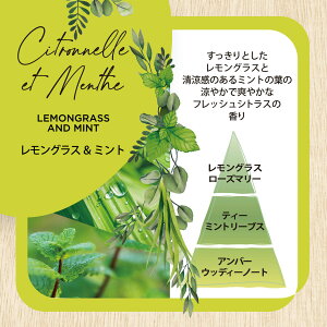 GXeo CeAK[fi`[  XeBbN40{ OX&~g IW&O[eB[ tV[l ESTEBAN { A}  A}IC CeA