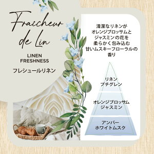 GXeo CeAK[fi`[  XeBbN40{ OX&~g IW&O[eB[ tV[l ESTEBAN { A}  A}IC CeA