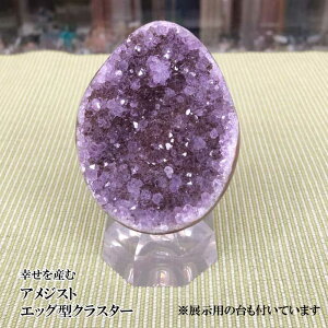 AWXgNX^[ EOACY GbO^ 350_1 AWXg AWXgNX^[ AWXgu  J^ CeA v[g i  J^  994023 cop