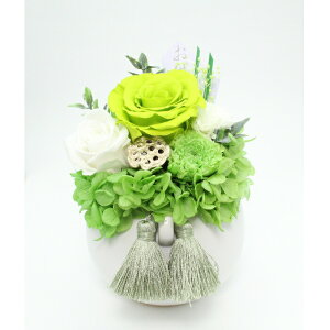 A vU[uht[ AWg Eh^ MTCY   o  ͂ @ ԑ @ؑ @  ފ ~   ̐l ̓ ̓ ̉ c