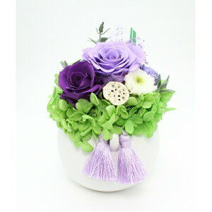 A vU[uht[ AWg Eh^ MTCY   o  ͂ @ ԑ @ؑ @  ފ ~   ̐l ̓ ̓ ̉ c